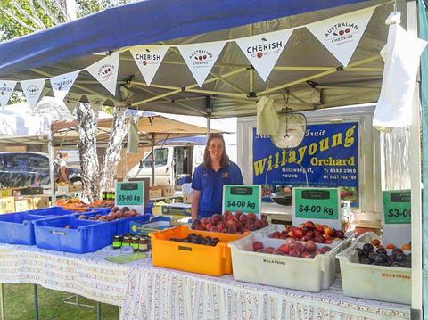 Young And Region Farmers Markets - Lightning Ridge Tourism 1