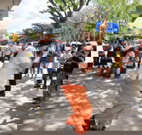 Australian National Busking Championships - Lightning Ridge Tourism