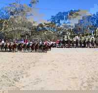 Australian Campdraft Association National Finals Campdraft 2021 - Lightning Ridge Tourism