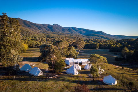 A Wild Night Out - Spring - Lightning Ridge Tourism 5