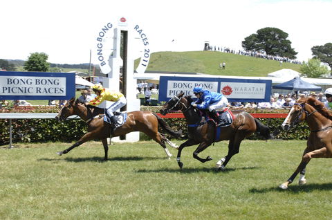 Bong Bong Picnic Races - Lightning Ridge Tourism 0