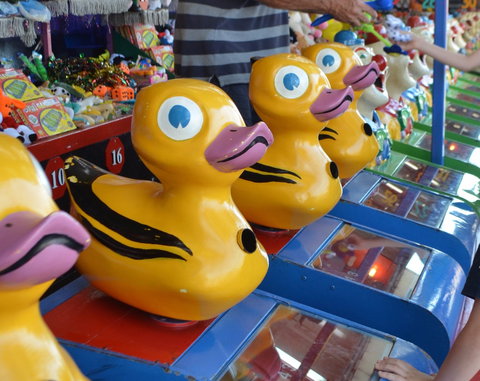 Casino Agricultural Show - Lightning Ridge Tourism 0