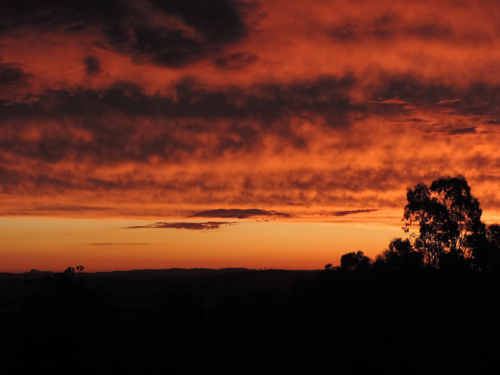 Eunanoreenya NSW Lightning Ridge Tourism