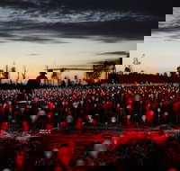 Field of Light Uluru - Lightning Ridge Tourism