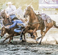 Gundagai Rodeo - Lightning Ridge Tourism