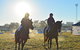 Gunnedah Showjumping Festival - thumb 0