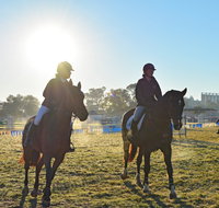 Gunnedah Showjumping Festival - Lightning Ridge Tourism