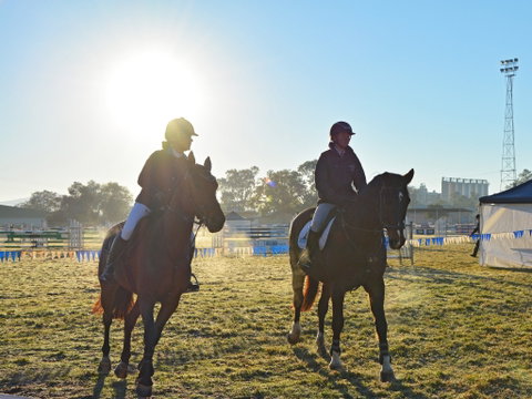 Gunnedah Showjumping Festival - Lightning Ridge Tourism 0
