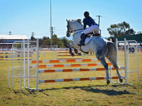 Gunnedah Showjumping Festival - Lightning Ridge Tourism 1