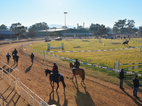 Gunnedah Showjumping Festival - Lightning Ridge Tourism 2