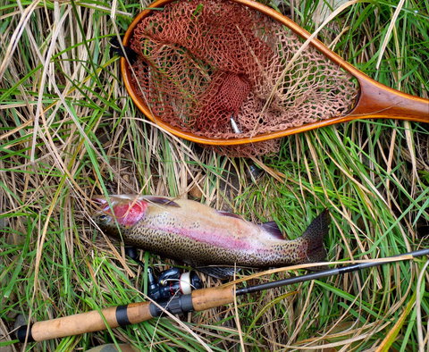 Guyra TroutFest - Lightning Ridge Tourism 0