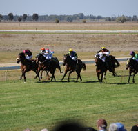 Jerilderie Gold Cup Races - Lightning Ridge Tourism