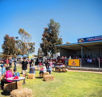 Mathoura Speed Shear and Annual Cancer Fundraiser - Lightning Ridge Tourism