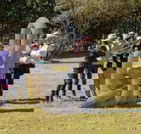 Sculpture for Clyde - Outdoor Exhibition