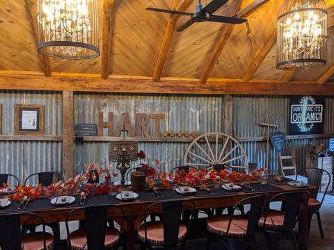 Friday Long Lunch @  Hart Of The Barossa Tasting Shed - Lightning Ridge Tourism 0