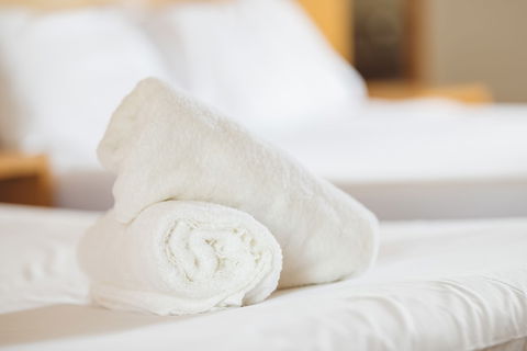 Garden Lodge Sydney - Lightning Ridge Tourism 4