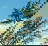 Base Magnetic Island Hostel - Lightning Ridge Tourism