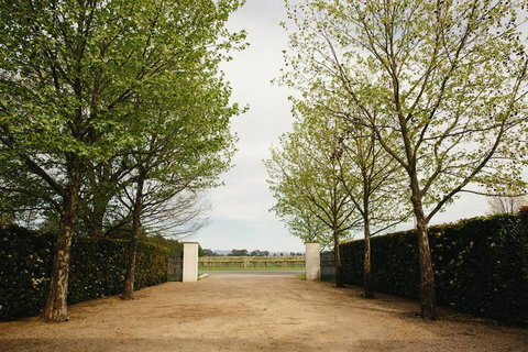 Lancemore Milawa - Lightning Ridge Tourism 3