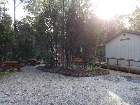 Tahune Air Walk Lodge - Lightning Ridge Tourism 3