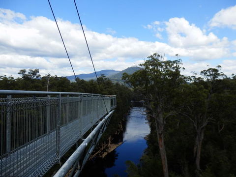 Tahune Air Walk Lodge - Lightning Ridge Tourism 5