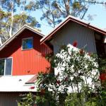 Pelicans At Denmark - Lightning Ridge Tourism 0