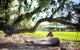 Waterfall Springs Retreat And Wildlife Sanctuary - thumb 5