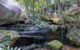 Waterfall Springs Retreat And Wildlife Sanctuary - thumb 3