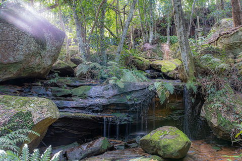 Waterfall Springs Retreat And Wildlife Sanctuary - Lightning Ridge Tourism 3
