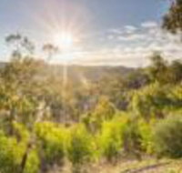 Skillogalee - Lightning Ridge Tourism