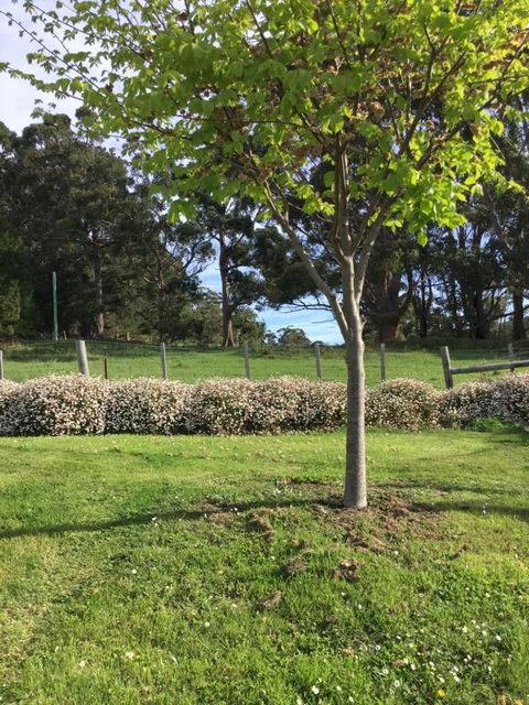 Nextdooratportarthur - Lightning Ridge Tourism 3