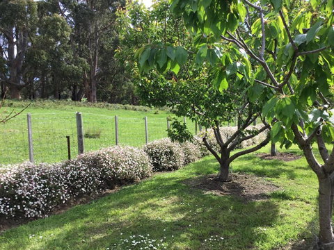 Nextdooratportarthur - Lightning Ridge Tourism 1