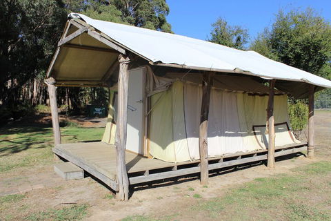 Wonky Stables Holiday Park - Lightning Ridge Tourism 4