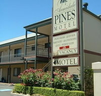 Armidale Pines Motel - Lightning Ridge Tourism