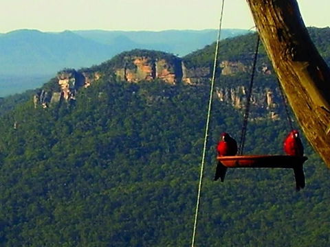 Valley Of The Waters B&B - Lightning Ridge Tourism 3