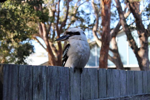 POINT BREAK WEEKLY ONLY - Lightning Ridge Tourism 2