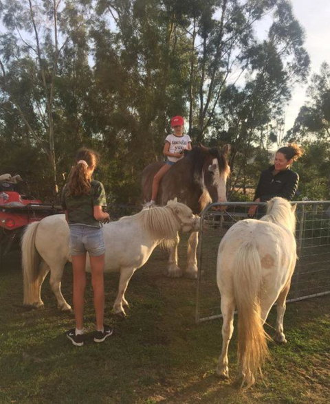 Glamping Gypsy Hobart - Lightning Ridge Tourism 5