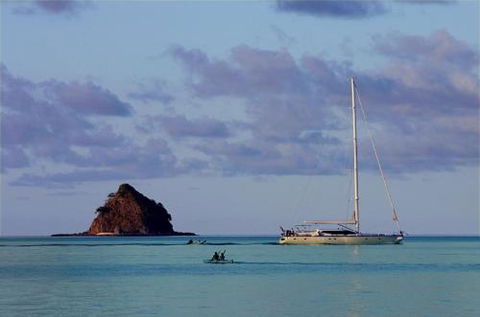 LANDSCAPE At PALM COVE - Lightning Ridge Tourism 5