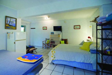 Pacific Studio Nambucca Heads - Lightning Ridge Tourism 7