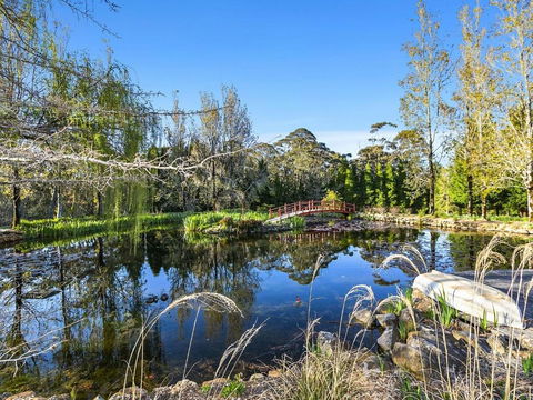 COOKS HOUSE - Lightning Ridge Tourism 5