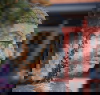 Pagoda Resort  Spa - Lightning Ridge Tourism