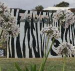 Zebras Guest House - Lightning Ridge Tourism