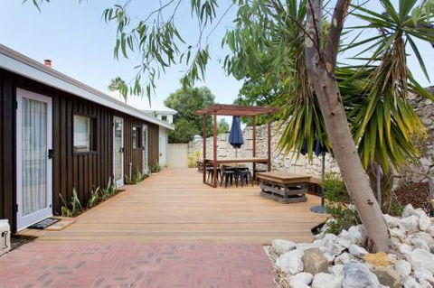 Dingo At White Gum Lodge - Lightning Ridge Tourism 2