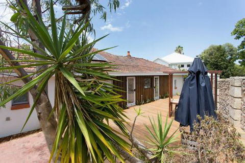 Dingo At White Gum Lodge - Lightning Ridge Tourism 5