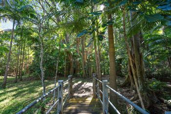Paperbark - Lightning Ridge Tourism 1