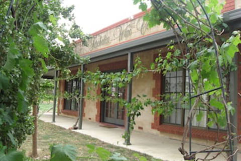 Under The Vines - Lightning Ridge Tourism 0