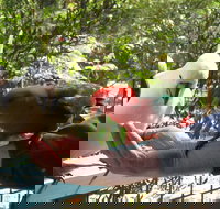 Lorne Bush House Cottages  Eco Retreats - Lightning Ridge Tourism