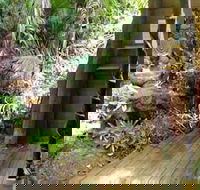 Rainforest Hideaway - Lightning Ridge Tourism