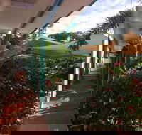 Tropical Palms - Lightning Ridge Tourism