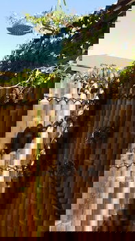 Anchorage Guest House - Lightning Ridge Tourism 4