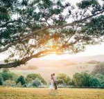 Cedia at Byron Bay Hinterland - Lightning Ridge Tourism